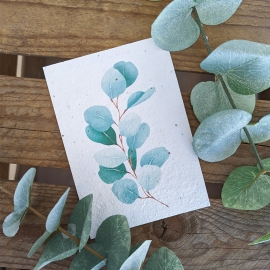 Postkarte Eukalyptus aus Samenpapier