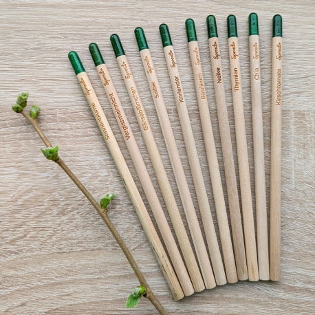 10 Bleistifte im MIx-Pack