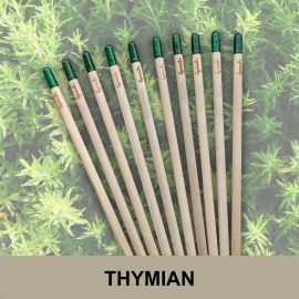 10 Sprout Bleistifte Thymian